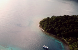Introducing Solomon Islands Discovery Cruises