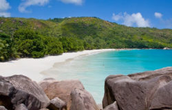 Leasehold versus freehold hotel operating licenses in Seychelles