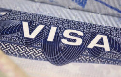 UK visa site blocks bulk bookings