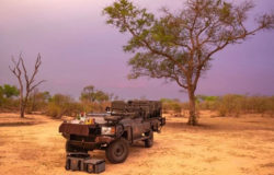 First electric game vehicles spotted in Sabi Sands