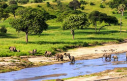 Tanzania government partners with private sector to drive Lake Region tourism