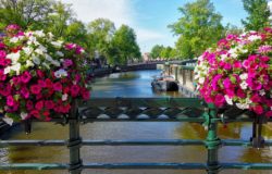 Amsterdam in Spring: the Best Occasion for a Journey