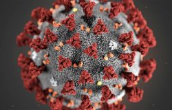 COVID-19 grim milestone: 1 million infected, 51,000 dead worldwide