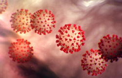 Significant coronavirus updates from around the world