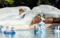 Disney is reopening Blizzard Beach Water Park on Nov. 13