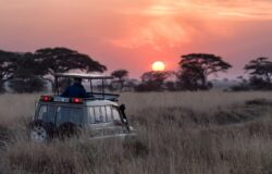 Tanzania: Five Million Tourists Target Within Reach