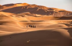 Algeria to offer Sahara tourists visas on arrival