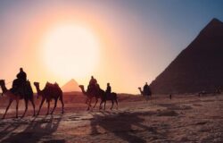7 million tourists visited Egypt during first half of 2023